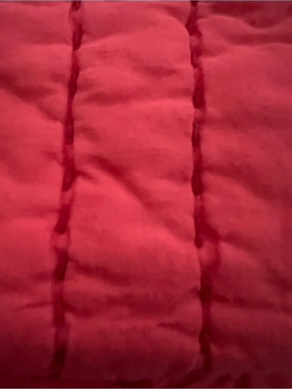 Pottery Barn Standard Pillow Shams (pair)